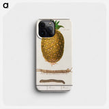 Pineapple - アンセルムス ボエティウス デ ブート Phone Case.