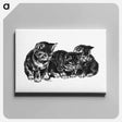 アートパネル-Kittens from Cherry Cheeks And Roses
 - 大英図書館 Canvas.