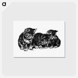 アートポストカード-Kittens from Cherry Cheeks And Roses
 - 大英図書館 Postcard.