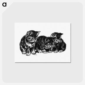 アートポストカード-Kittens from Cherry Cheeks And Roses
 - 大英図書館 Postcard.