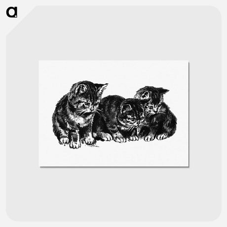 アートポストカード-Kittens from Cherry Cheeks And Roses
 - 大英図書館 Postcard.