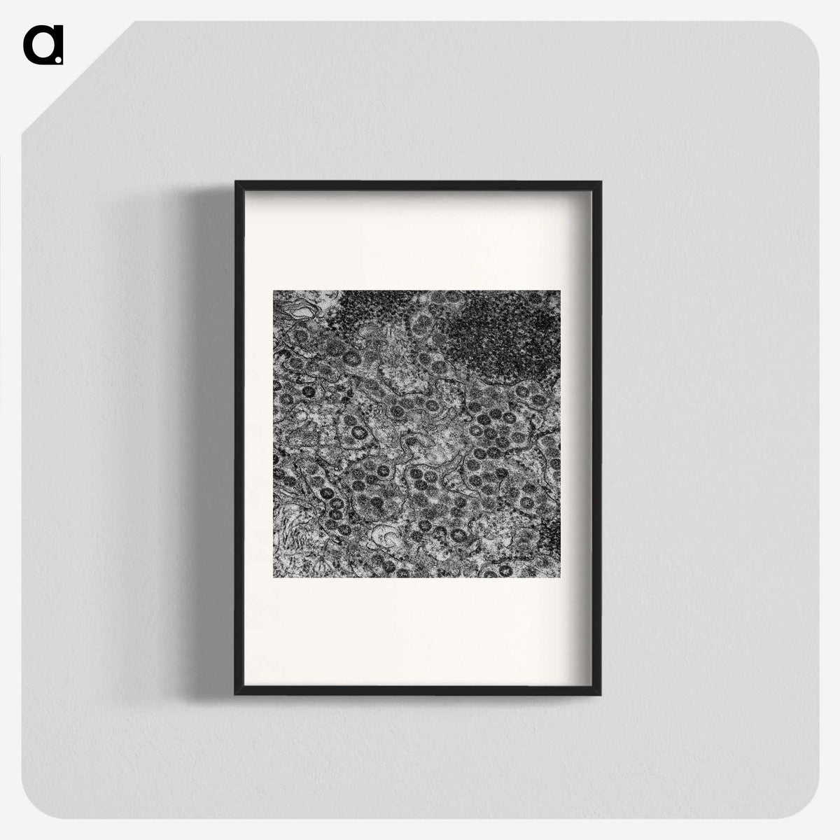 2-57_COVID-19_blk