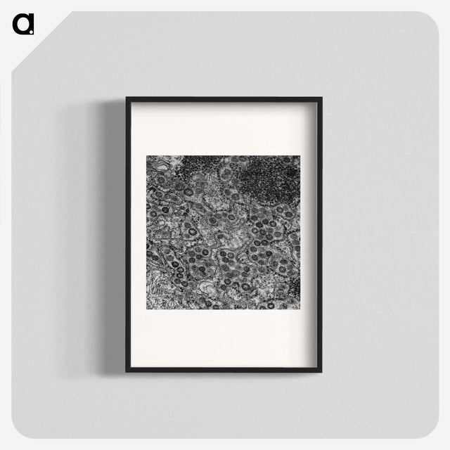 2-57_COVID-19_blk