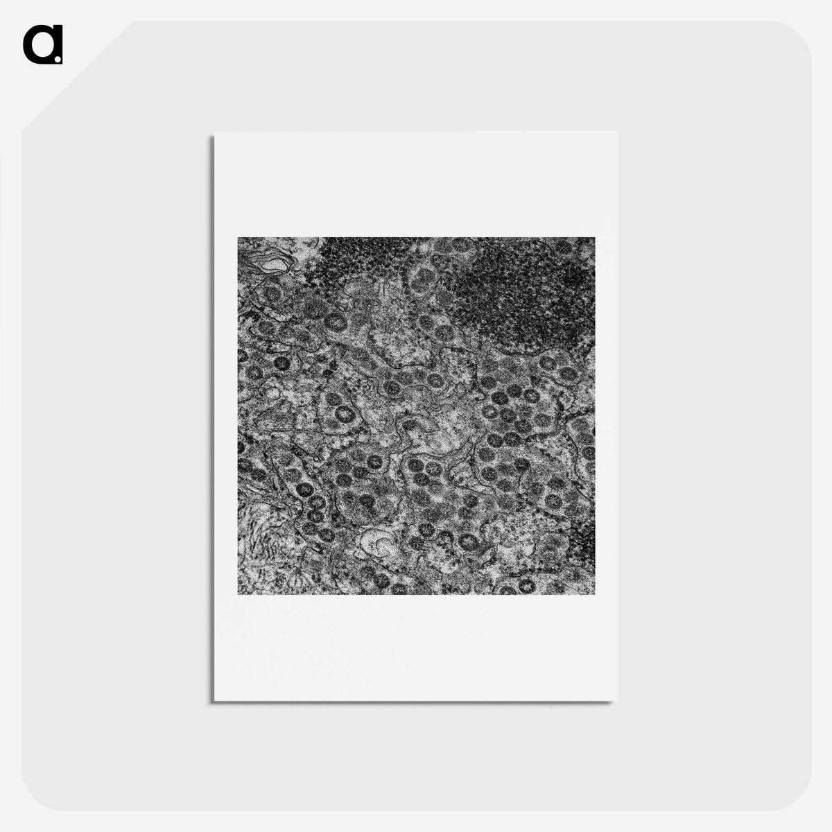 2-57_COVID-19_hagaki