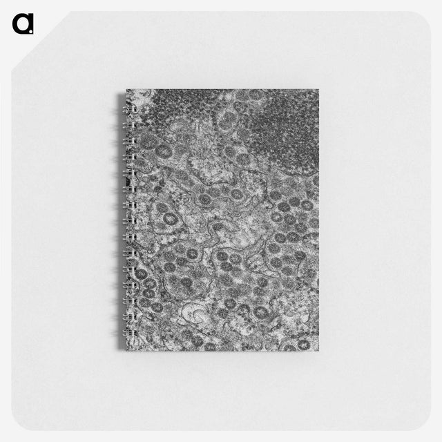 2-57_COVID-19_memo