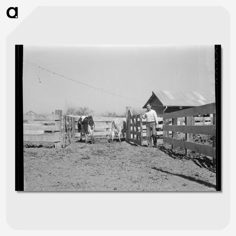 2-57_Dorothea-Lange_picture-crop