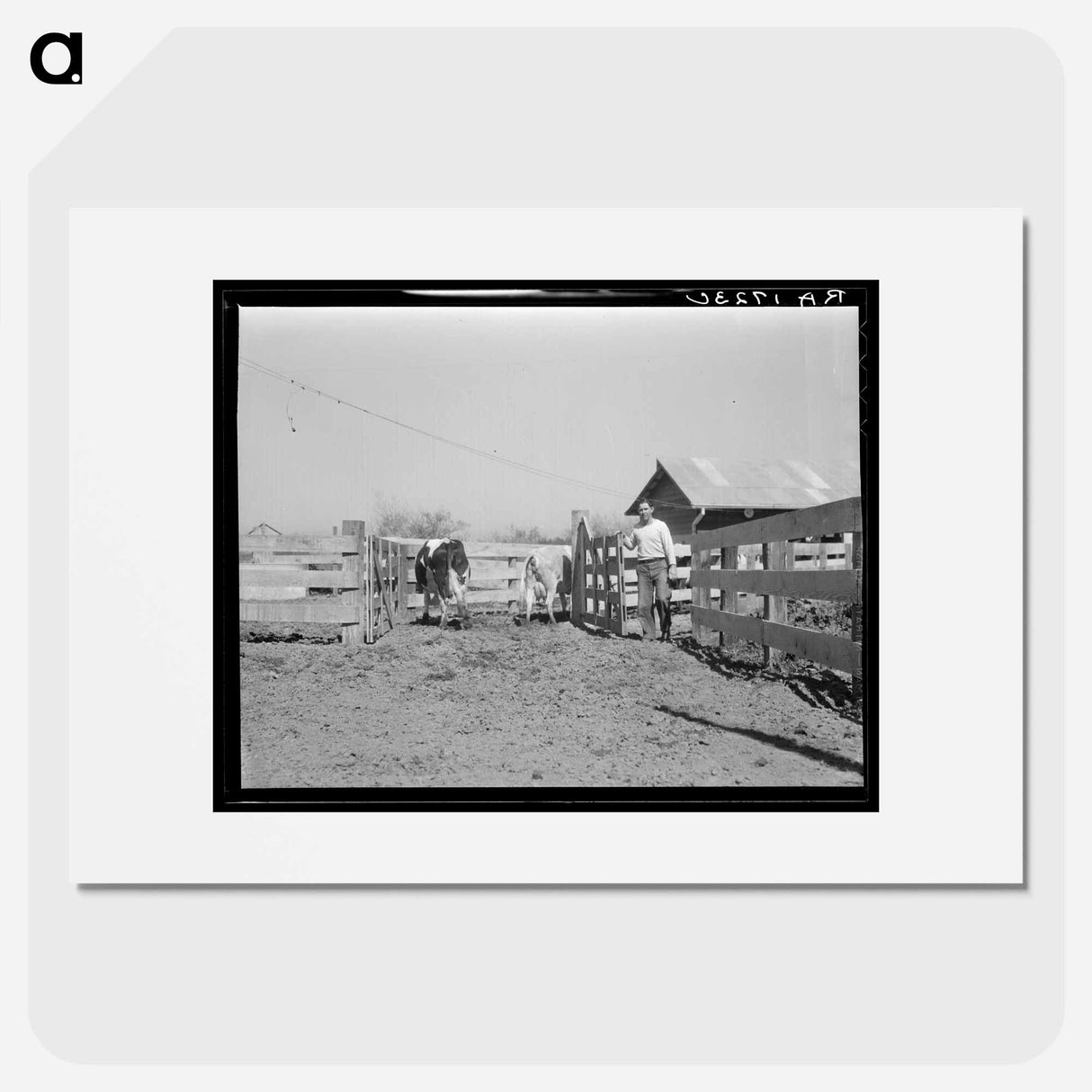 Self-help cooperative dairy - Dorothea Lange Poster.