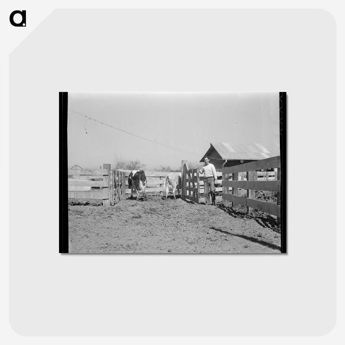 2-57_Dorothea-Lange_postcard