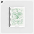 2-57_Ernst-Haeckel_memo