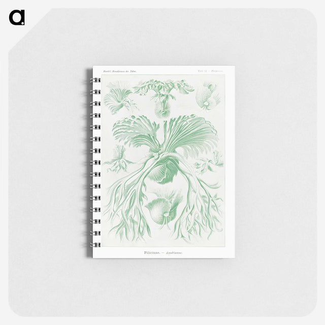2-57_Ernst-Haeckel_memo