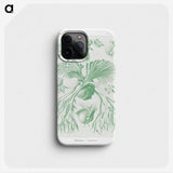 2-57_Ernst-Haeckel_phone