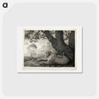 アートポストカード-A Tyger (A Recumbent Leopard by a Tree)
 - ジョージ スタッブス Postcard.