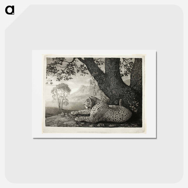 アートポストカード-A Tyger (A Recumbent Leopard by a Tree)
 - ジョージ スタッブス Postcard.