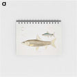 2-57_Indian-Zoology_memo