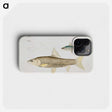 2-57_Indian-Zoology_phone