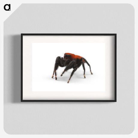 2-57_Insects-Unlocked-Project_blk