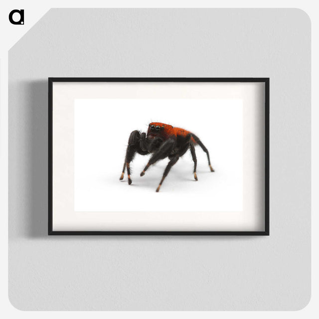 2-57_Insects-Unlocked-Project_blk