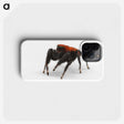 2-57_Insects-Unlocked-Project_phone