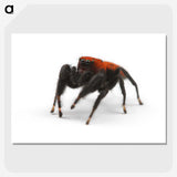 2-57_Insects-Unlocked-Project_picture-crop