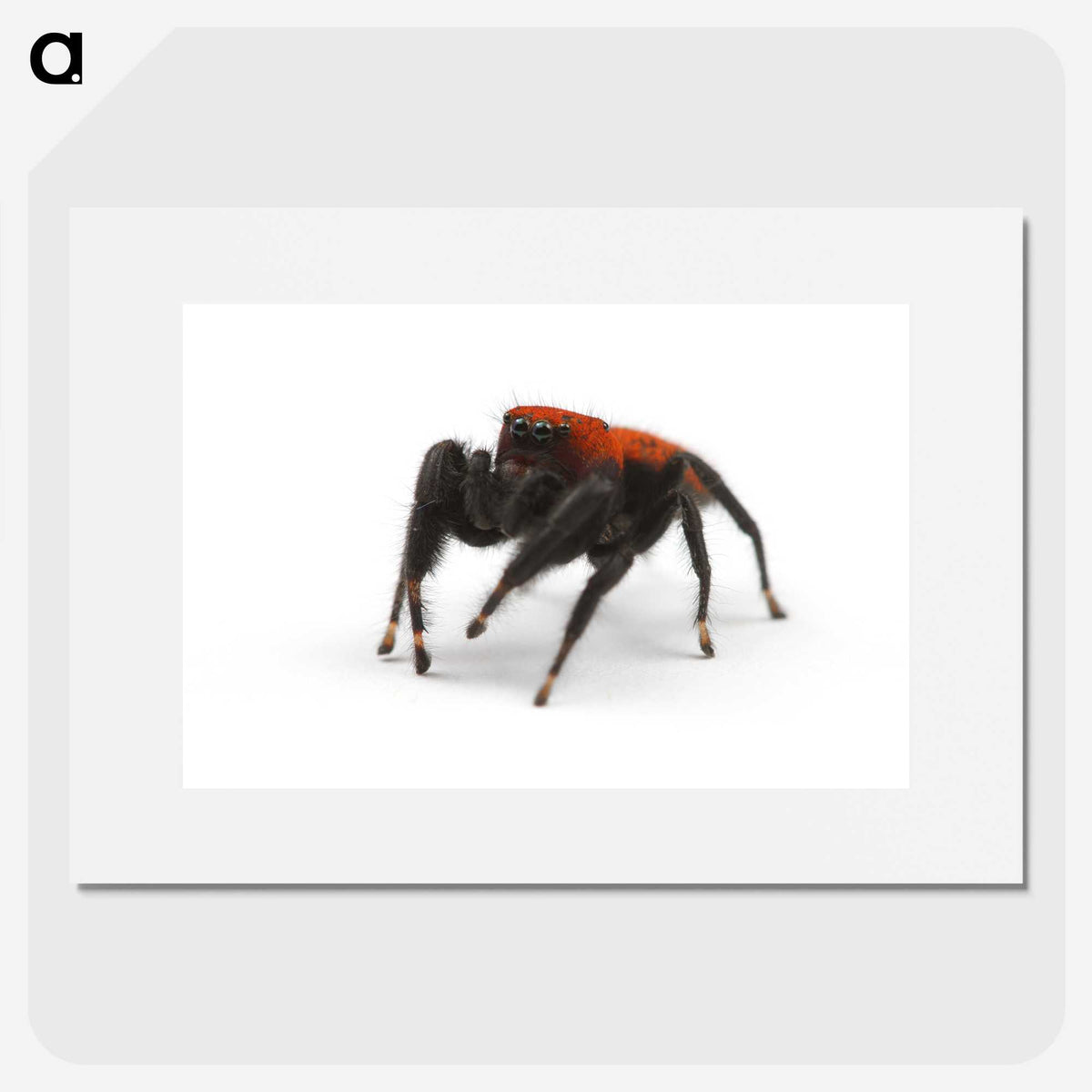 2-57_Insects-Unlocked-Project_picture