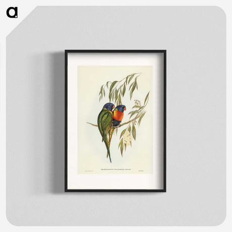 2-57_John-Gould_blk