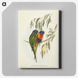 2-57_John-Gould_canvas