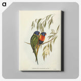 2-57_John-Gould_canvas