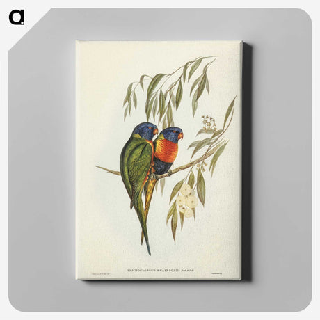2-57_John-Gould_canvas
