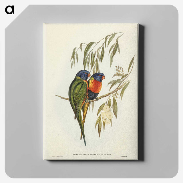 2-57_John-Gould_canvas