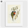 2-57_John-Gould_picture