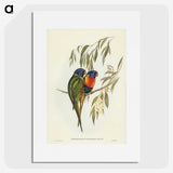 2-57_John-Gould_picture