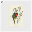 2-57_John-Gould_postcard