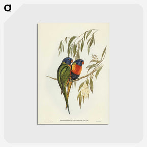 2-57_John-Gould_postcard