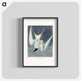 2-57_John-James-Audubon_blk