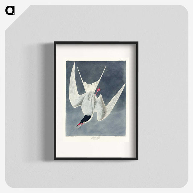 2-57_John-James-Audubon_blk