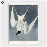 2-57_John-James-Audubon_picture-crop