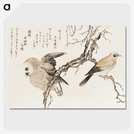 2-57_Kitagawa-Utamaro_picture-crop