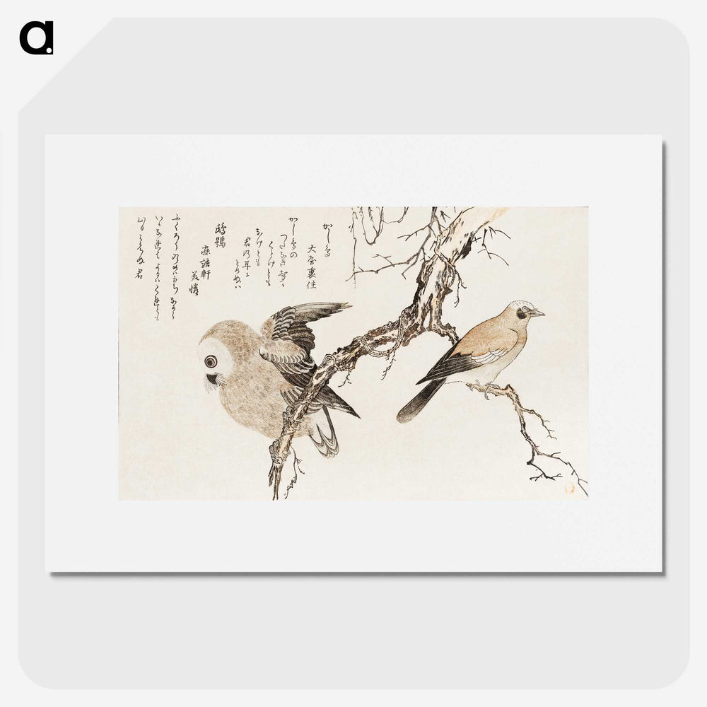 2-57_Kitagawa-Utamaro_picture