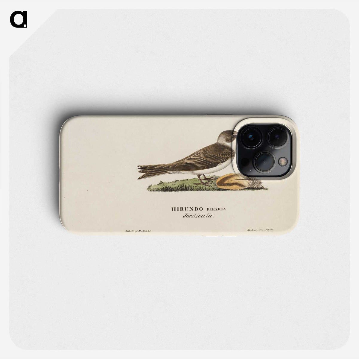 2-57_Magnus-von-Wright_phone