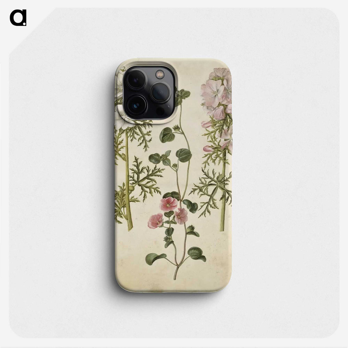 2-57_Maria-Sibylla-Merian_phone