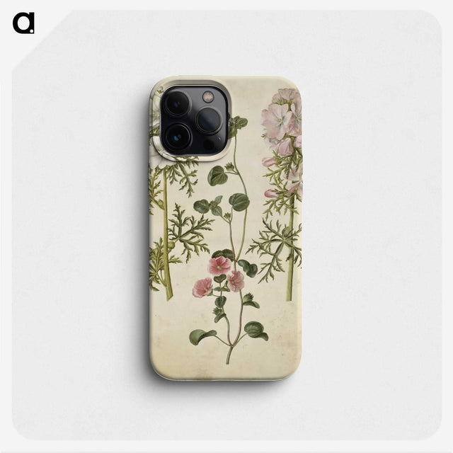 2-57_Maria-Sibylla-Merian_phone
