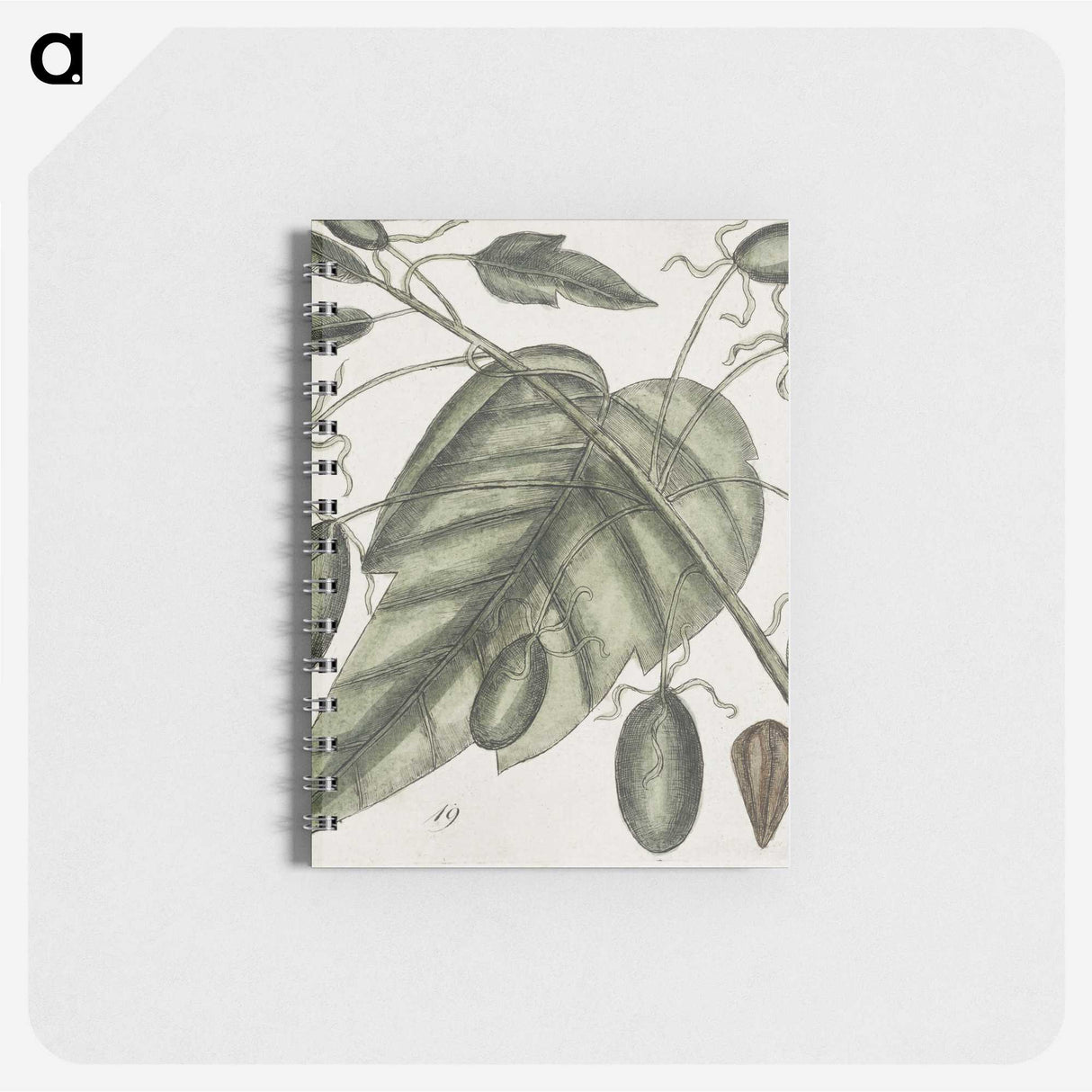 2-57_Mark-Catesby_memo