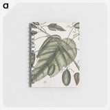 2-57_Mark-Catesby_memo