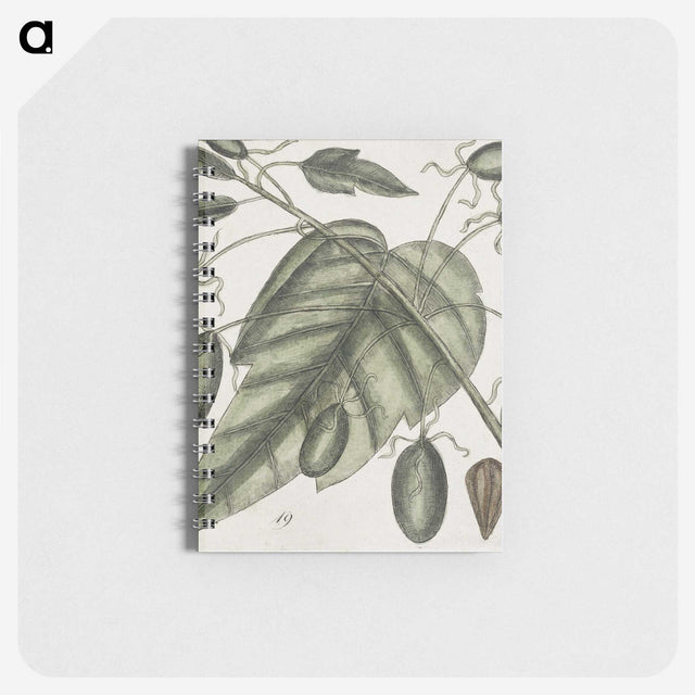 2-57_Mark-Catesby_memo