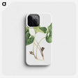 2-57_Mary-Vaux-Walcott_phone