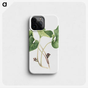 2-57_Mary-Vaux-Walcott_phone