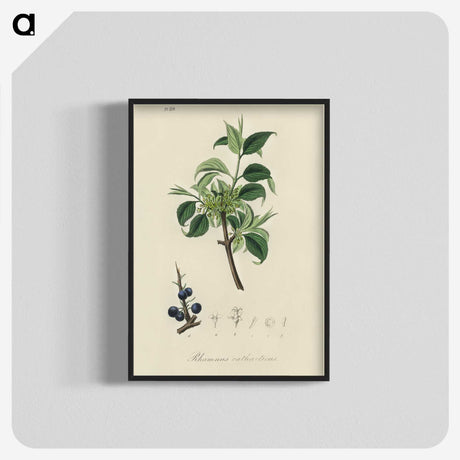 2-57_Medical-Botany_blk-crop