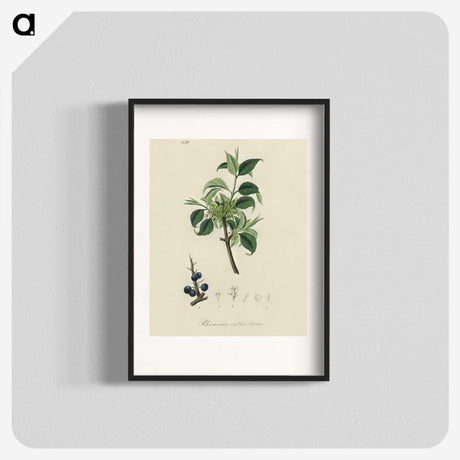 2-57_Medical-Botany_blk