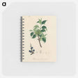 アートメモ帳-Buckthorn Illustration
 - 薬用植物学 Memo.