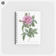 2-57_Pierre-Joseph-Redoute_memo